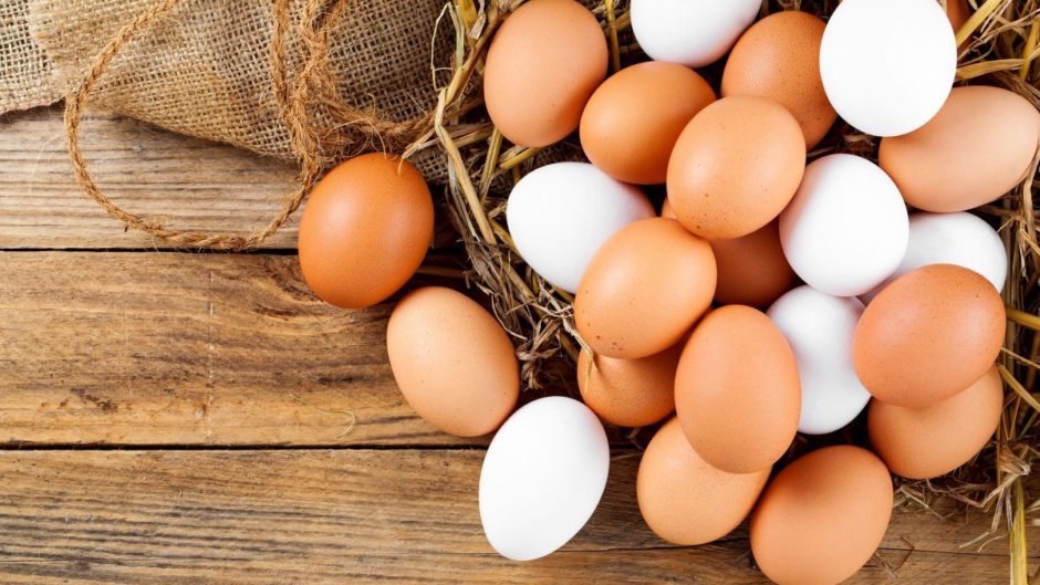 Los Huevos Una Rica Fuente Alimenticia Deporte Y Vida